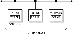 fig: ./images/1qnxhost.gif