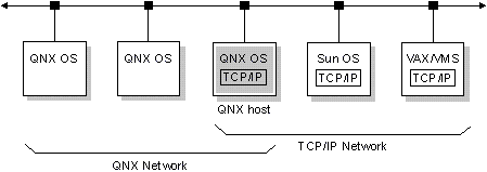 fig: ./images/qnettnet.gif