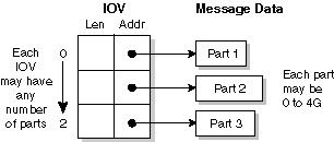 Neutrino message-pass vector