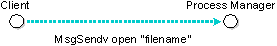 MsgSendv, client to process manager