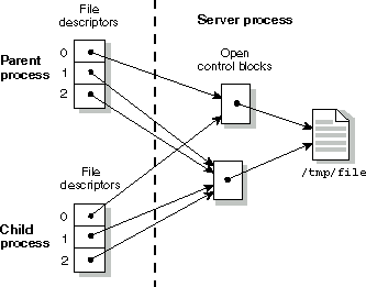 Figure showing a process using the dup() function