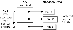 Neutrino message-pass vector