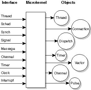 Neutrino kernel components