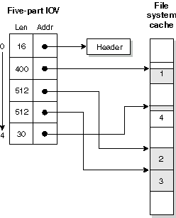 5-part IOV