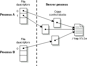 Figure showing processes opening the same file